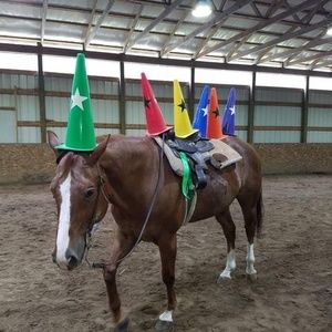 Meet your Posher, Ashlee